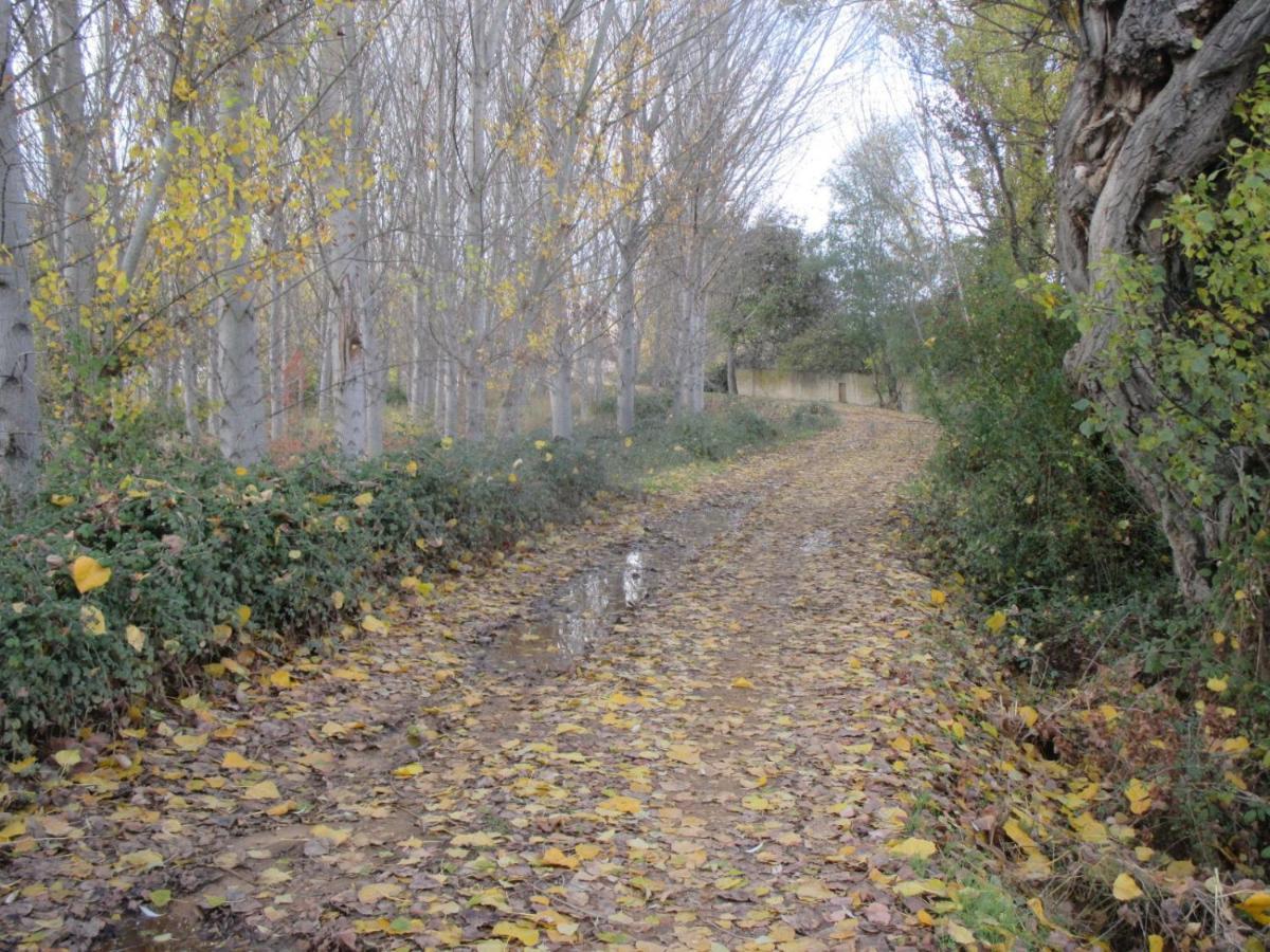 Boleta A 5 Minutos De Leon, Casa Con Jardin Villa San Andres del Rabanedo Luaran gambar
